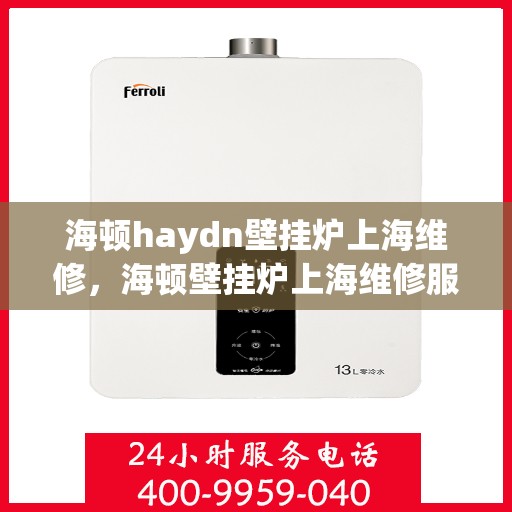 海顿haydn壁挂炉上海维修，海顿壁挂炉上海维修服务解析