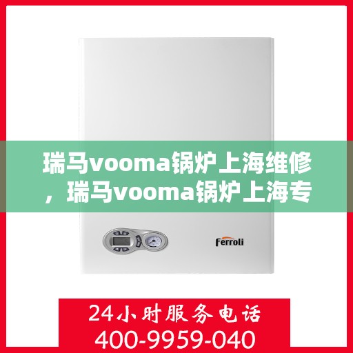 瑞马vooma锅炉上海维修，瑞马vooma锅炉上海专业维修服务