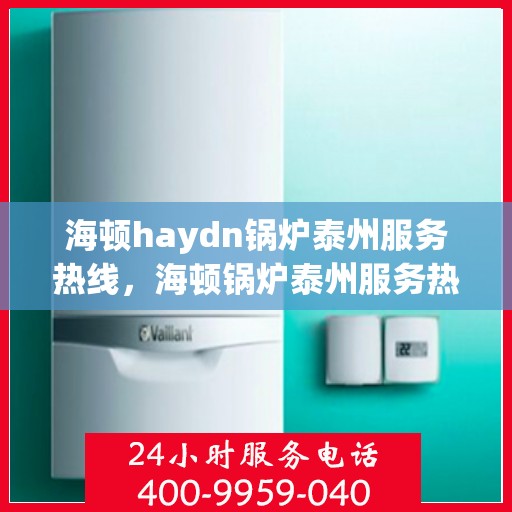 海顿haydn锅炉泰州服务热线，海顿锅炉泰州服务热线，专业团队，贴心服务